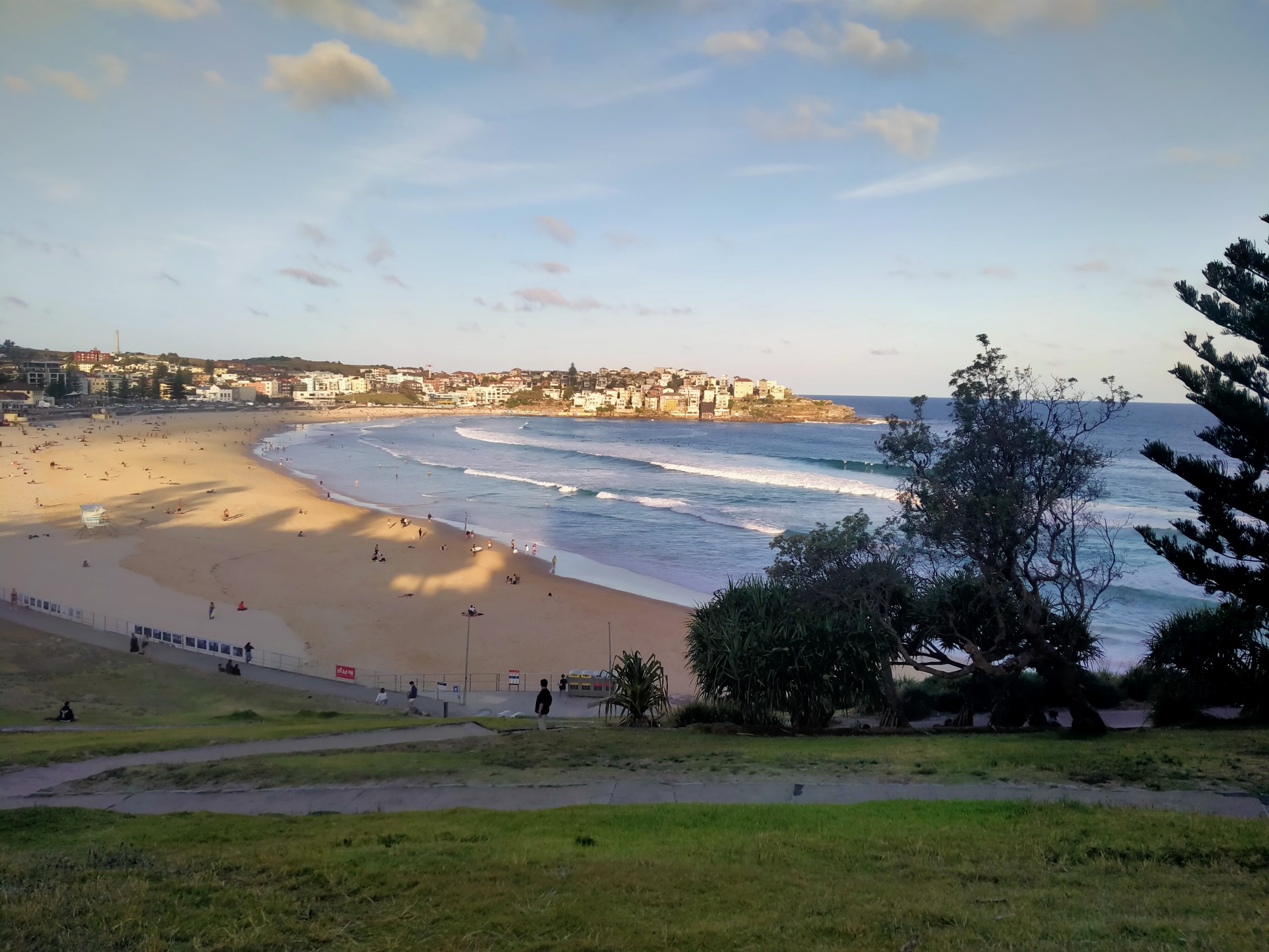 ALBA A BONDAI BEACH